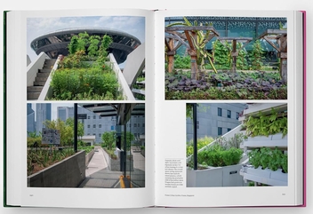 Паперова книга «The Kitchen Garden», автор Тобі Масґрейв - фото №9 - мініатюра