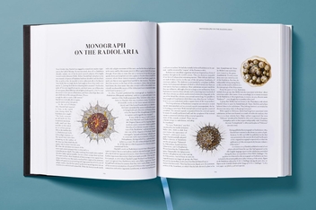 Paper book «The Art and Science of Ernst Haeckel», author Julia Voss - фото №9 - миниатюра
