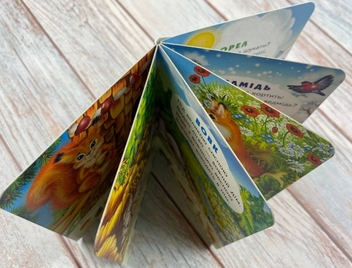 Бумажная книга «Хто де живе. Цікаве для найменших» - фото №6 - миниатюра