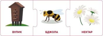  «Настільна гра Кенгуру Логічні ланцюжки. Світ тварин. Хто де живе і що їсть (КН1782002У)», бренда Кенгуру - фото №6 - миниатюра