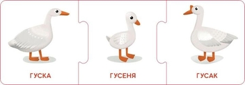  «Настільна гра Кенгуру Логічні ланцюжки. Малюки тварини та їхні родини (КН1782001У)», бренда Кенгуру - фото №6 - миниатюра