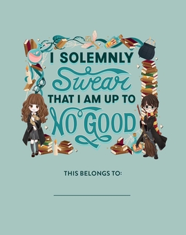 Бумажная книга «Harry Potter. Wands at the Ready Lock & Key Diary» - фото №4 - миниатюра