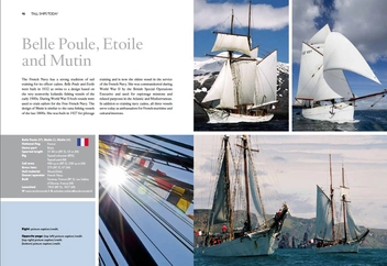 Паперова книга «Tall Ships Today: Their remarkable story», автор Найджел Роу - фото №3 - мініатюра