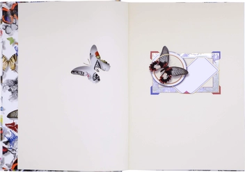 Паперова книга «Hardcover Album. Butterfly Parade» - фото №5 - мініатюра