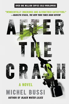 Паперова книга «After the Crash», автор Мішель Бюссі - фото №1 - мініатюра