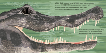 Бумажная книга «Lifesize Deadly Animals», автор Софи Хенн - фото №3 - миниатюра