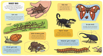 Паперова книга «Little Explorers: Bugs» - фото №2 - мініатюра