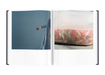 Бумажная книга «Rinko Kawauchi. Illuminance. The Tenth Anniversary Edition» - фото №2 - миниатюра