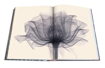 Бумажная книга «Flowers. Art & Bouquets», автор Сикстин Дабли - фото №4 - миниатюра
