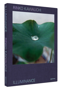 Бумажная книга «Rinko Kawauchi. Illuminance. The Tenth Anniversary Edition» - фото №3 - миниатюра