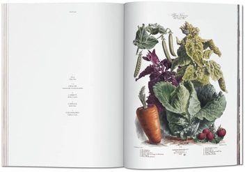 Бумажная книга «Vilmorin, Vegetable Garden» - фото №6 - миниатюра