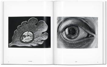 Бумажная книга «The Graphic Work» - фото №7 - миниатюра