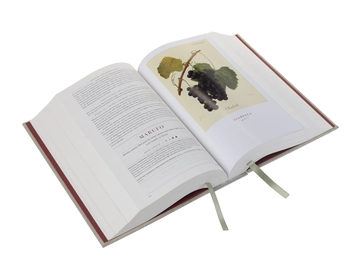 Бумажная книга «Wine Grapes. A complete guide to 1,368 vine varieties, including their origins and flavours», авторов Джулия Хардинг, Янсис Робинсон, Хосе Вуйамоз - фото №6 - миниатюра