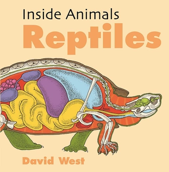 Бумажная книга «Reptiles» - фото №1 - миниатюра