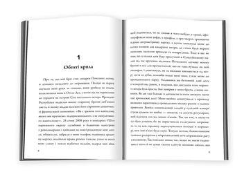 Паперова книга «Французький роман», автор Фредерік Бегбедер - фото №6 - мініатюра