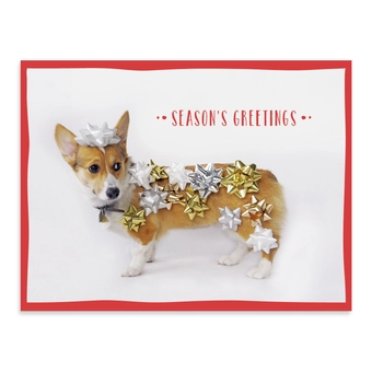 Бумажная книга «Festive Furry Friends Deluxe Notecard Collection» - фото №10 - миниатюра