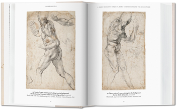 Паперова книга «Michelangelo. The Graphic Work » - фото №7 - мініатюра