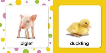 Бумажная книга «Squeaky Baby Bath Book. Baby Animals» - фото №2 - миниатюра