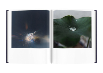 Бумажная книга «Rinko Kawauchi. Illuminance. The Tenth Anniversary Edition» - фото №4 - миниатюра