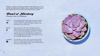 Бумажная книга «The Little Book of Cacti and Other Succulents», автор Эмма Сибли - фото №4 - миниатюра