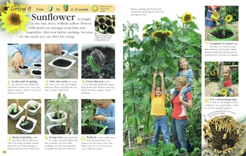 Бумажная книга «RHS Grow It, Eat It» - фото №5 - миниатюра