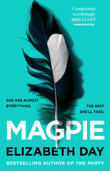 Бумажная книга «Magpie», автор Элизабет Дэй - фото №1 - миниатюра