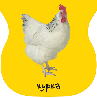 Бумажная книга «Книжки-іграшки з брязкальцем (комплект із 4 книг)» - фото №9 - миниатюра