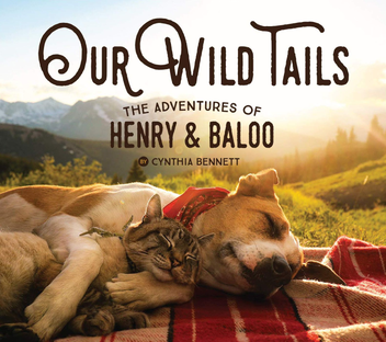 Бумажная книга «Our Wild Tails. The Adventures of Henry and Baloo», автор Синтия Беннетт - фото №2 - миниатюра