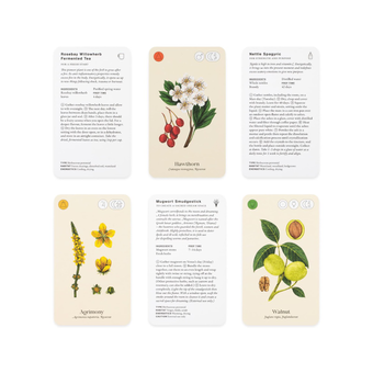 Паперова книга «Wild Alchemy Lab. An Astro-botanical Remedy Deck», автор Джемма Фостер - фото №5 - мініатюра
