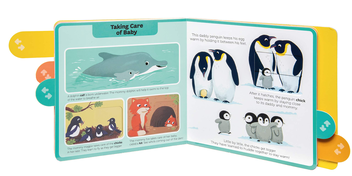 Бумажная книга «Baby Animals», автор Стефани Бэбин - фото №4 - миниатюра