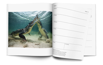 Бумажная книга «Wildlife Photographer of the Year Desk Diary 2022» - фото №4 - миниатюра