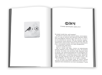 Бумажная книга «Усі яскраві місця», автор Дженнифер Нивен - фото №5 - миниатюра