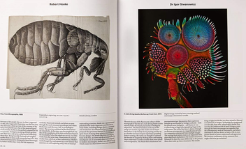 Бумажная книга «Animal: Exploring the Zoological World», автор Джеймс Ханкен - фото №2 - миниатюра
