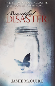 Паперова книга «Beautiful Disaster», автор Джеймі Макгвайр - фото №1 - мініатюра