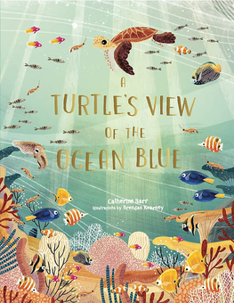 Паперова книга «A Turtle's View of the Ocean Blue», автор Кетрін Барр - фото №1 - мініатюра