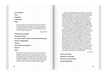 Паперова книга «Photo No-Nos. Meditations on What Not to Photograph», автор Джейсон Фулфорд - фото №4 - мініатюра