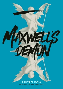 Бумажная книга «Maxwell's Demon», автор Стивен Холл - фото №1 - миниатюра