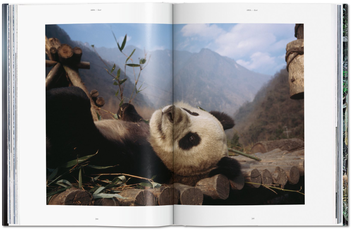 Бумажная книга «National Geographic. Around the World in 125 Years. Asia&Oceania», автор Реуэл Голден - фото №8 - миниатюра