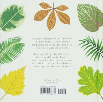 Бумажная книга «The Little Guide to Leaves» - фото №2 - миниатюра