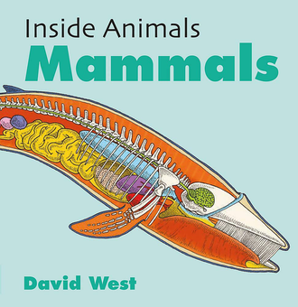 Паперова книга «Inside Animals. Mammals», автор Девід Уест - фото №1 - мініатюра