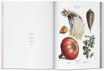 Бумажная книга «Vilmorin, Vegetable Garden» - фото №7 - миниатюра