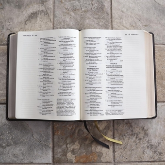 Бумажная книга «NRSVue, Holy Bible with Apocrypha, Journal Edition, Leathersoft, Black, Comfort Print», автор Zondervan - фото №4 - миниатюра