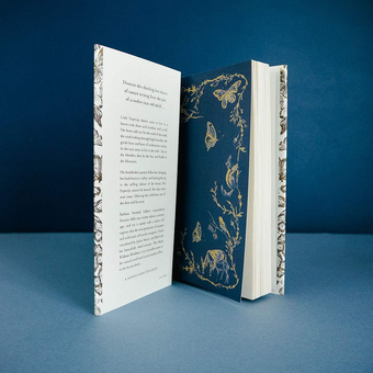 Бумажная книга «The House Without Windows», автор Барбара Ньюхолл-Фоллетт - фото №2 - миниатюра