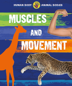 Бумажная книга «Muscles and Movement», автор Иззи Хауэлл - фото №1 - миниатюра