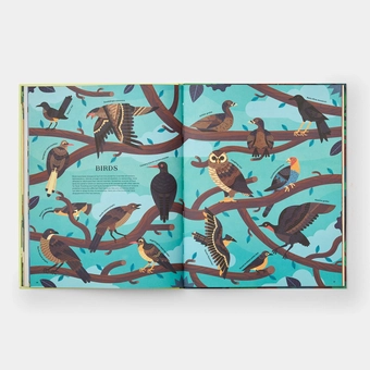 Бумажная книга «Extinct. An Illustrated Exploration of Animals That Have Disappeared», автор Лукас Риера - фото №8 - миниатюра