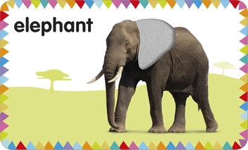 Бумажная книга «Animals. My First Touch and Feel Picture Cards» - фото №3 - миниатюра