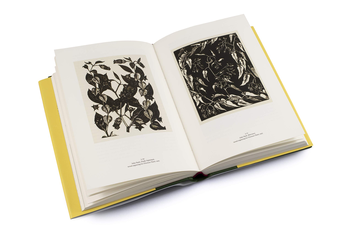Паперова книга «John Nash. The Landscape of Love and Solace», автор Енді Френд - фото №4 - мініатюра