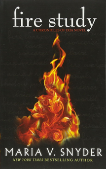 Бумажная книга «Fire Study», автор Мария Снайдер - фото №1 - миниатюра