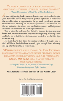 Бумажная книга «Fire in the Soul. A New Psychology of Spiritual Optimism», автор Джоан Борисенко - фото №2 - миниатюра