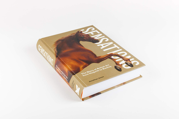 Бумажная книга «Sensations. The Story of British Art from Hogarth to Banksy», автор Джонатан Джонс - фото №2 - миниатюра
